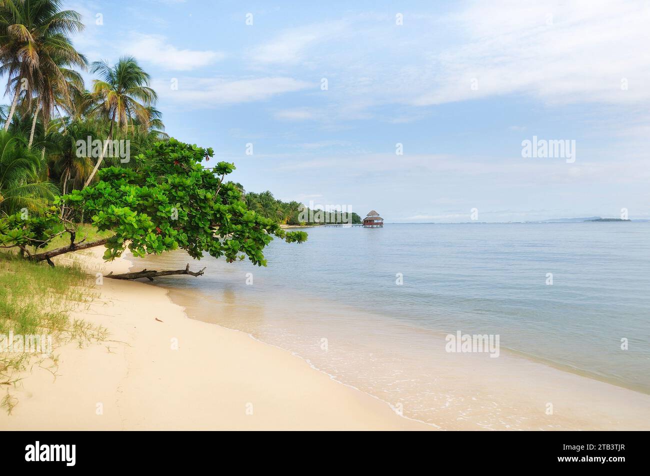 Zentralamerika, Panama, Karibik, Bastimentos Island, Bocas del Toro. Stockfoto