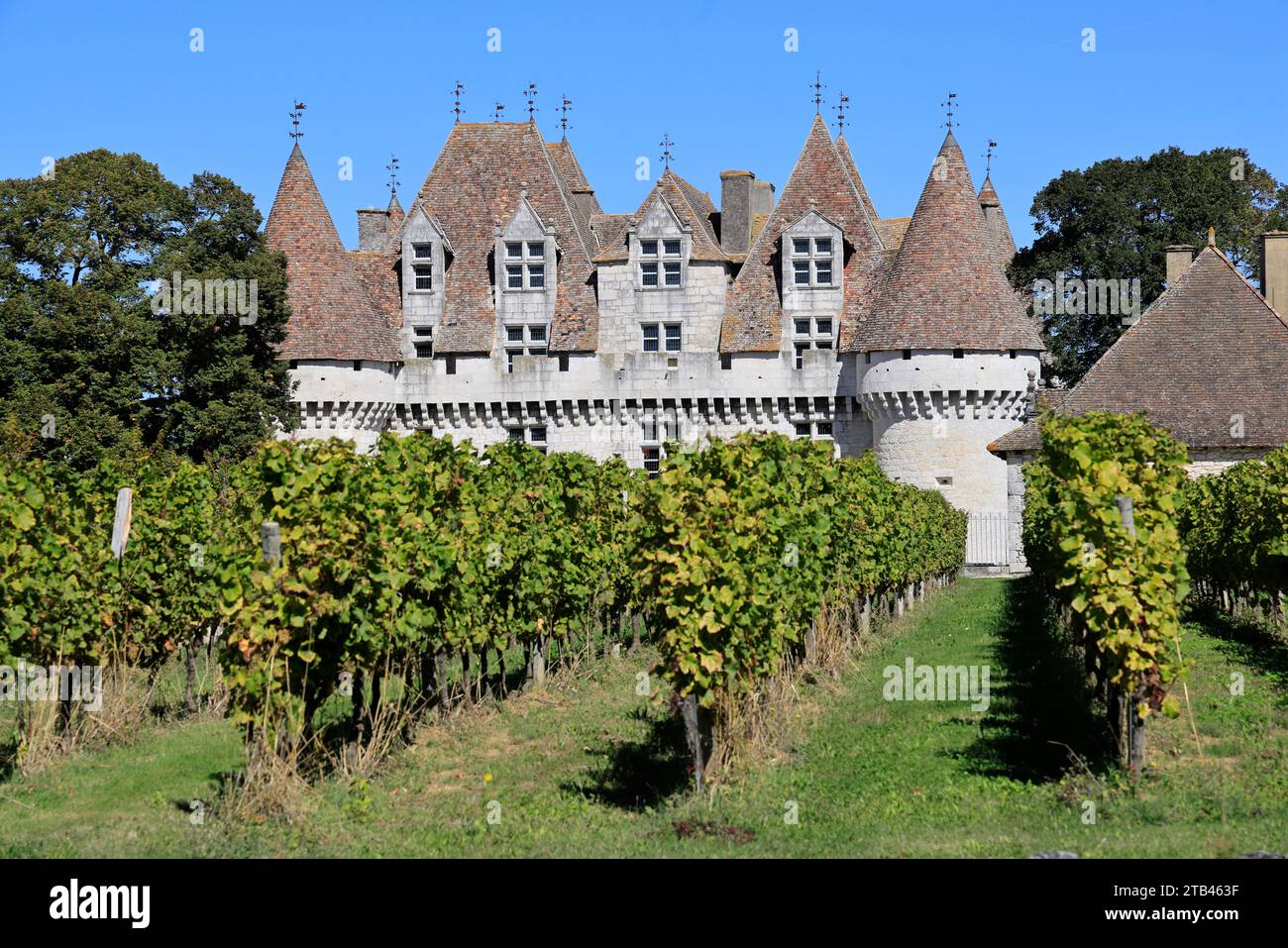 Das Château de Monbazillac, umgeben von seinem berühmten Weinberg. Erzeugung von Süßwein. Bergerac Weinberg. Monbazillac, Périgord, Dordogne, Fran Stockfoto