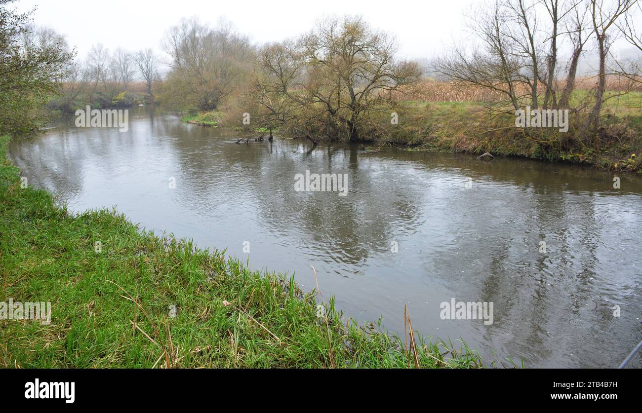 Herbstlandschaft mit Bäumen und einem kleinen Fluss Stockfoto