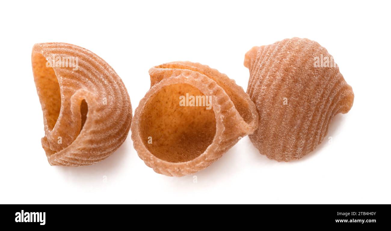 Cconchiglie italienische Pasta isoliert auf weiß Stockfoto