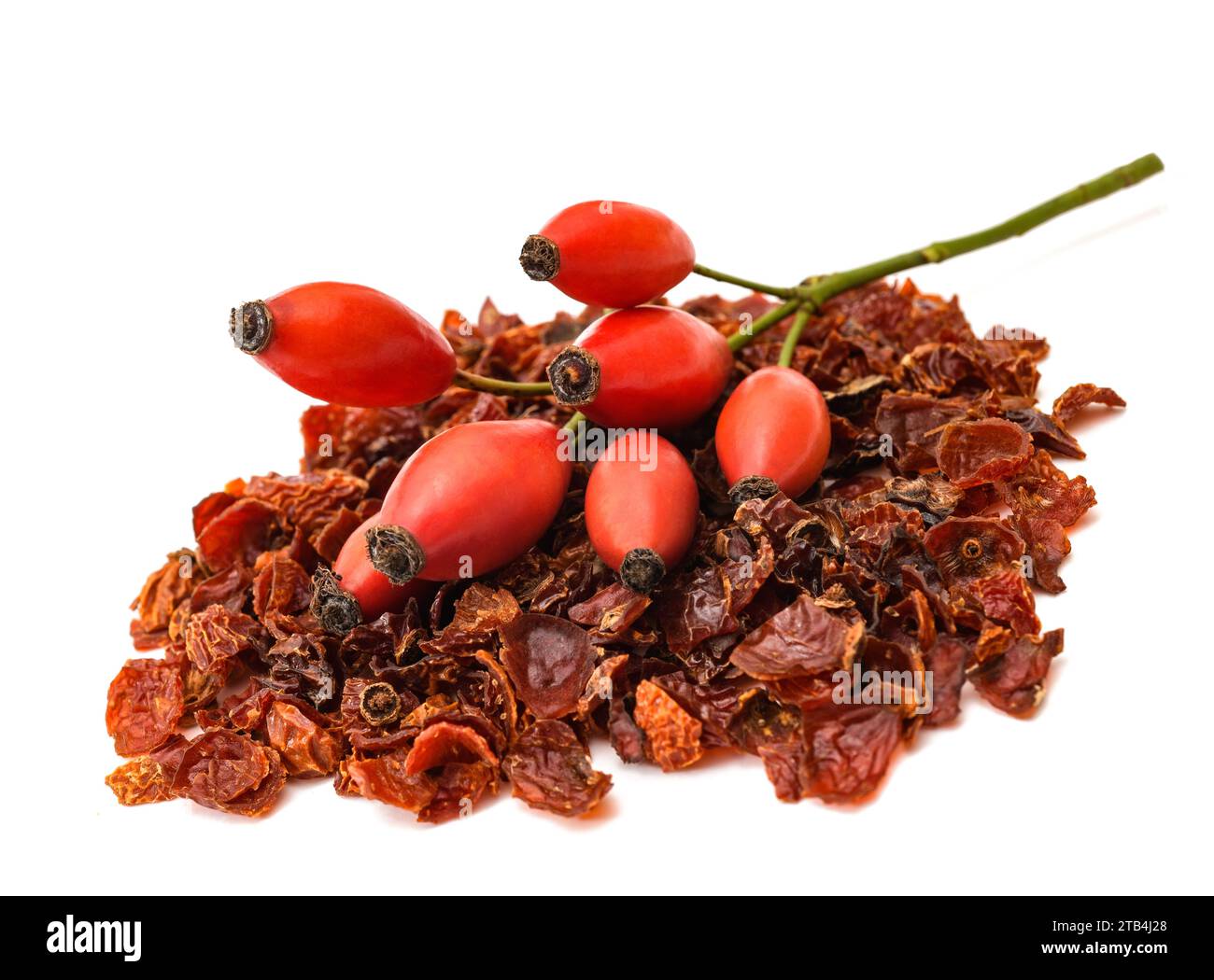 Dog Rose Beeren auf weißem Hintergrund Stockfoto