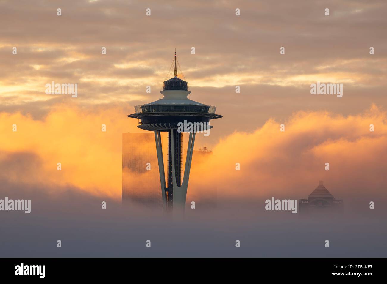WA23868-00...WASHINGTON - aufgehende Sonne lässt den Nebel an einem Morgen in Seattle leuchten, nur mit der Space Needle und einigen Hochhäusern in Nebelhöhe Stockfoto