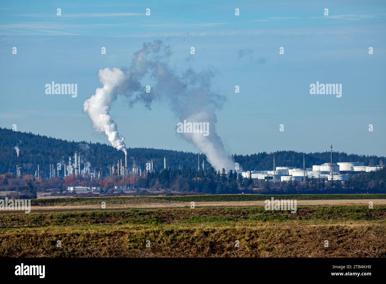 WA23871-00...WASHINGTON - Dampf aus der Ölraffinerie und den Lagertanks auf Fidalgo Island in der Nähe von Anacortes Stockfoto