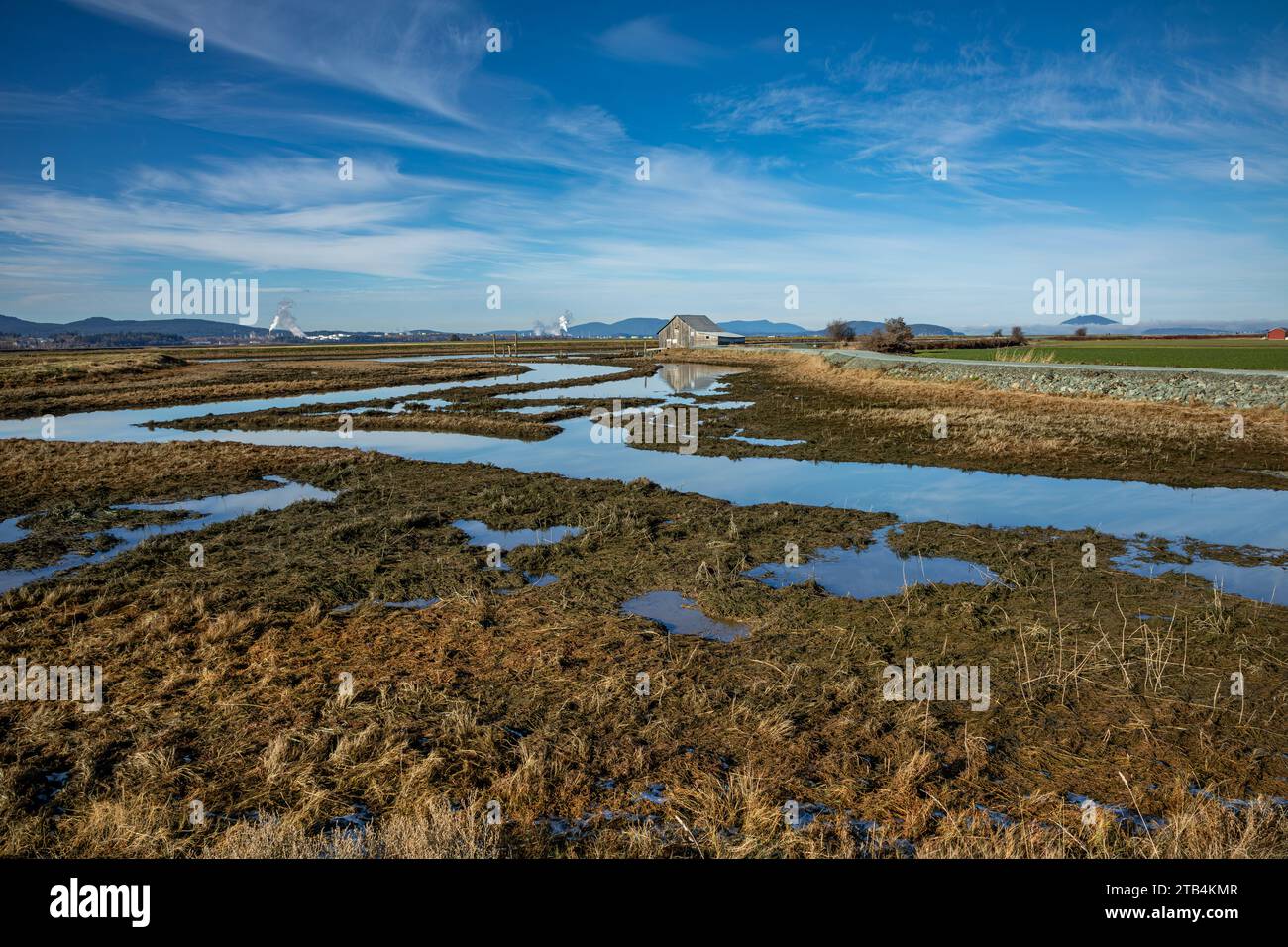 WA23877-00...Marsh landet entlang Indian Slough, Rauch aus den Ölraffinerien in der Nähe von Anacortes und dem Padilla Bay Shore Trail. Stockfoto