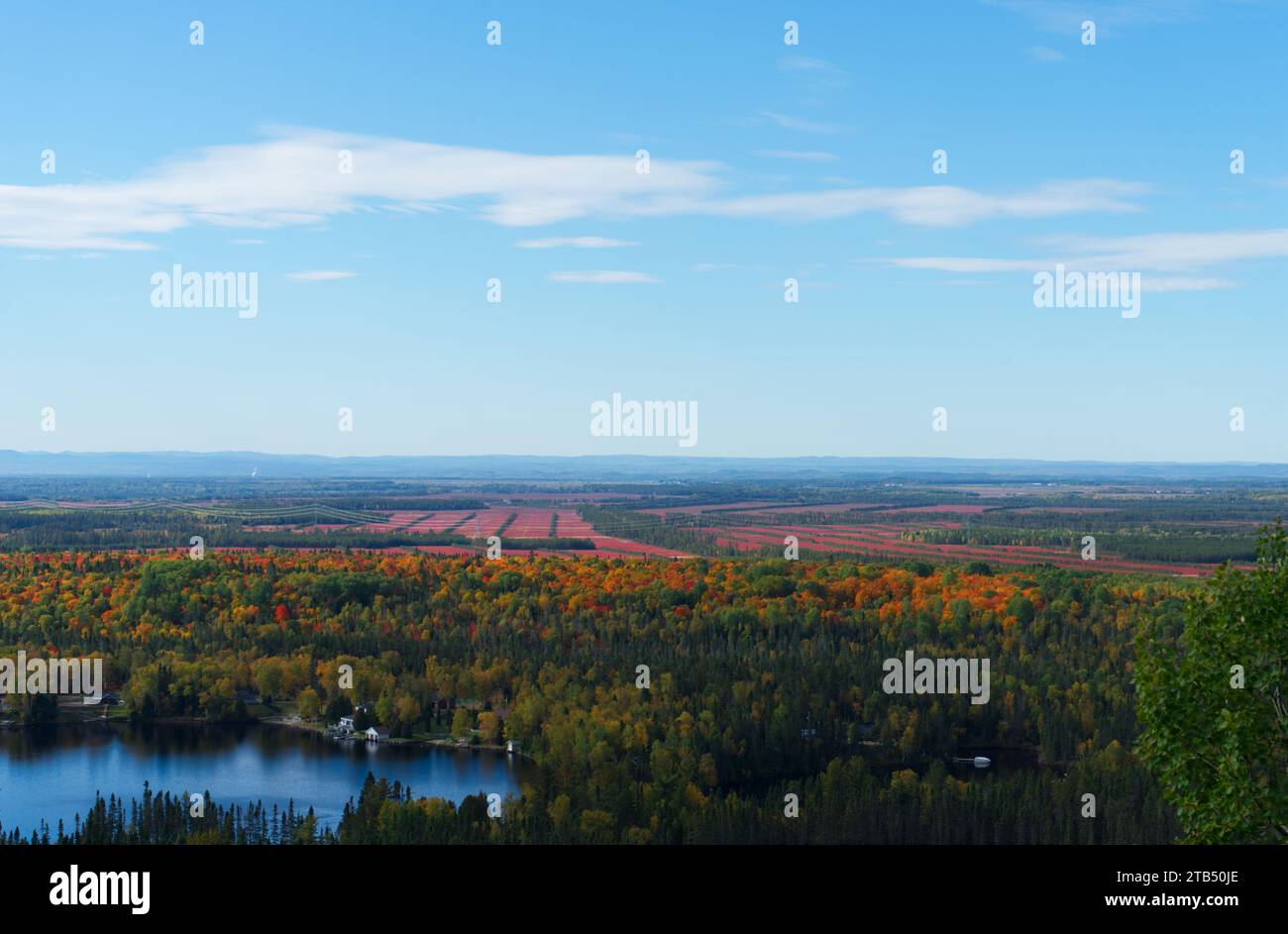 Lac Brochet, Falardeau, Saguenay, Québec, Kanada, Panoramablick auf Blaubeerfelder Herbst Stockfoto