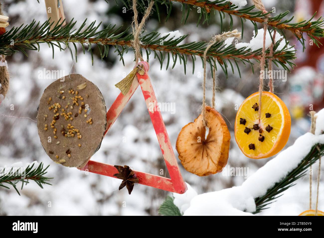 Hausgemachte Weihnachtsdekorationen, die draußen am Weihnachtsbaum hängen, runde Orangenscheiben und andere Dekorationen, Früchte Stockfoto