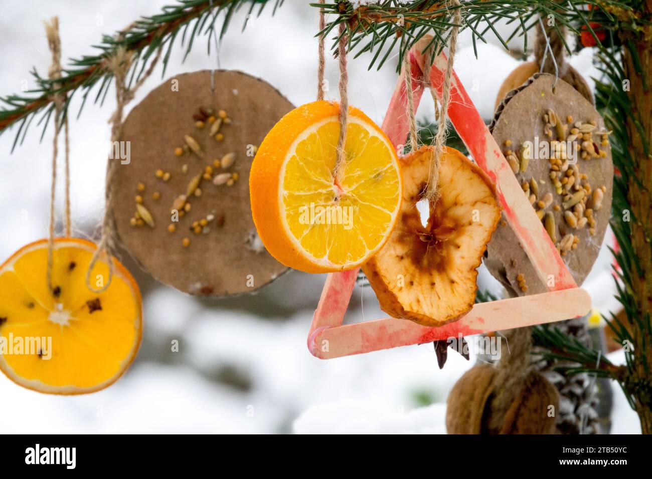 Hausgemachte Weihnachtsdekorationen hängen außen am Weihnachtsbaum Detail getrocknet, Früchte Stockfoto