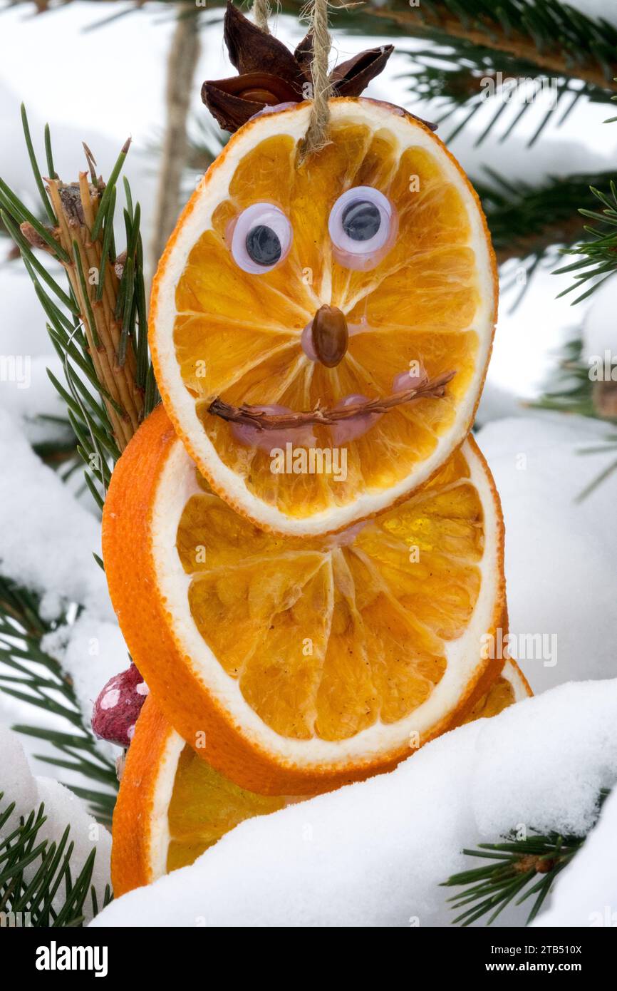 Fruchtige Weihnachtsschmuck, getrocknet, Orangen Dekoration, Schnee bedeckt, Weihnachtsdekoration Gesicht Augen Figur draußen Stockfoto