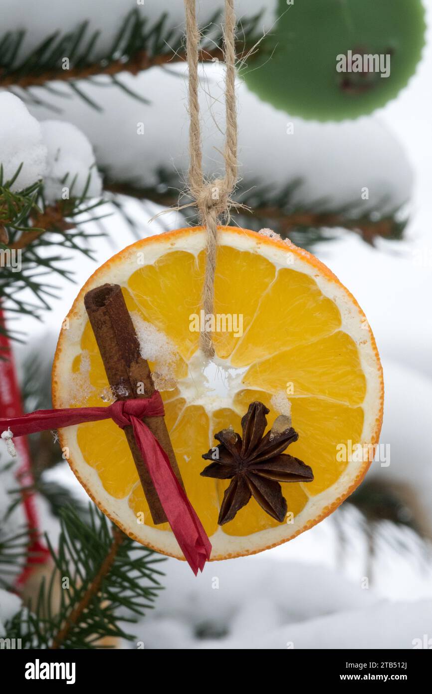 Weihnachtsdekoration draußen Zimtfrucht, Hängen, Schnee, Nahaufnahme, Winter, Orangen, Weihnachtsschmuck Stockfoto