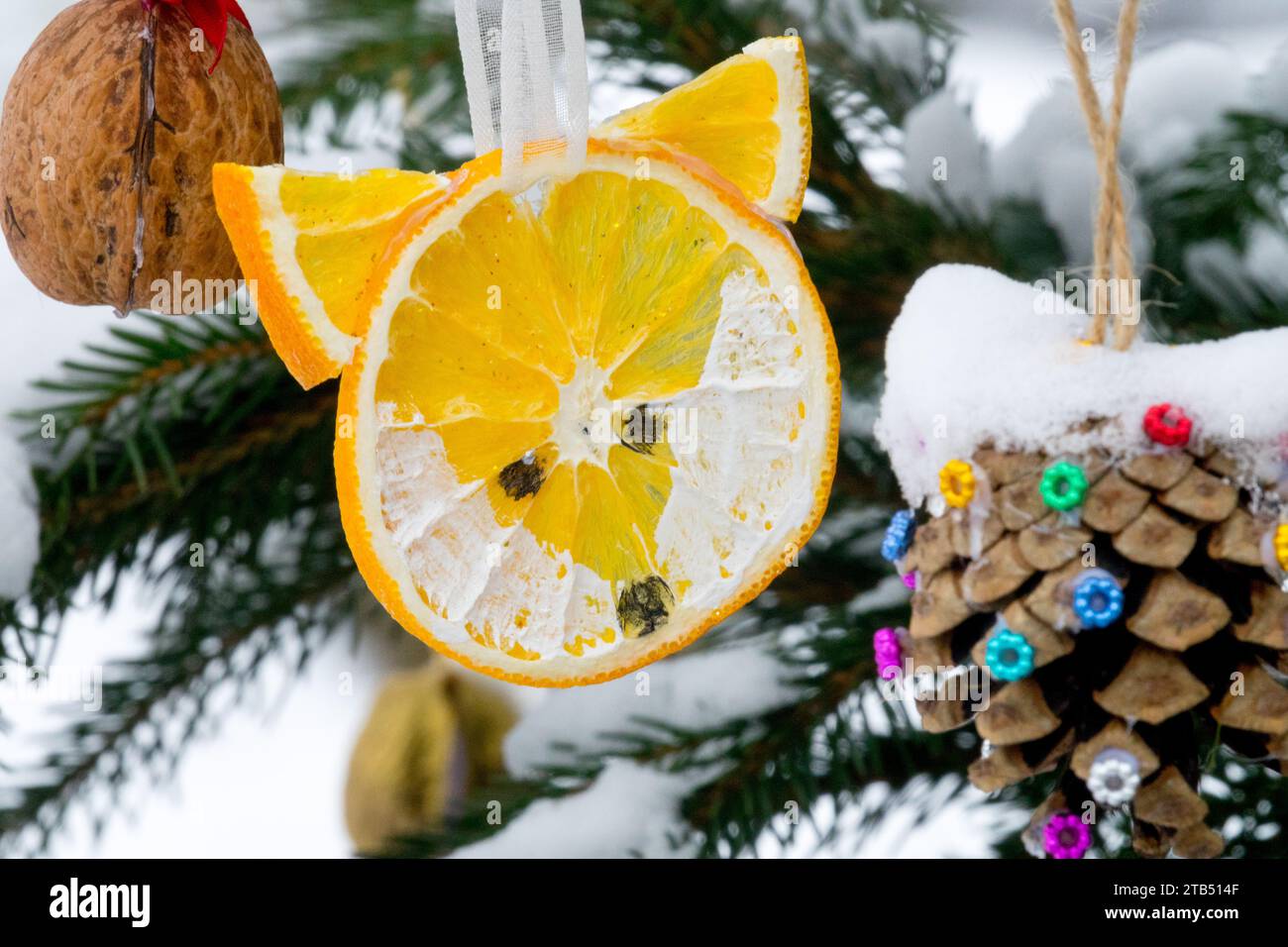 Hausgemachte Weihnachtsdekoration, ein Stück Orange, hängt an einem Weihnachtsbaumkegel im Freien, Nuss im Winter, Fuchs Stockfoto