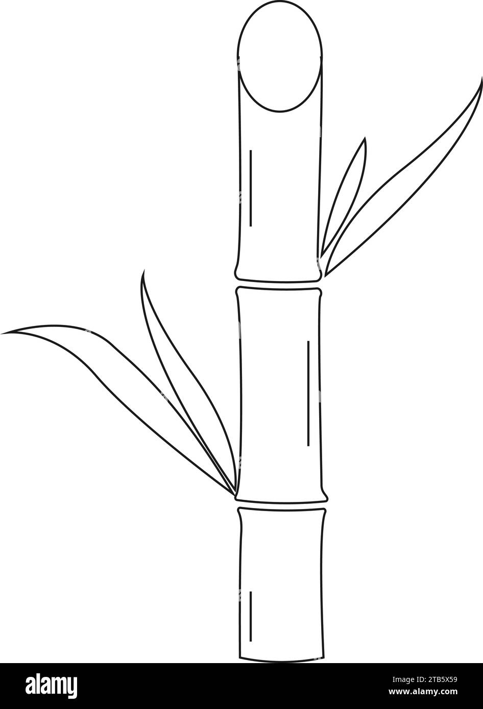 Zuckerrohr-Symbol Vektor-Illustration Logo-Vorlage Stock Vektor