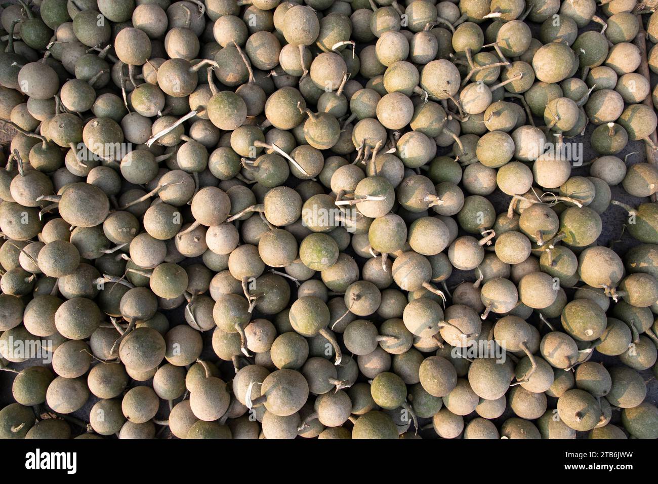 Natürliche Früchte Limonia acidissima Muster Textur kann als Hintergrundtapete verwendet werden Stockfoto