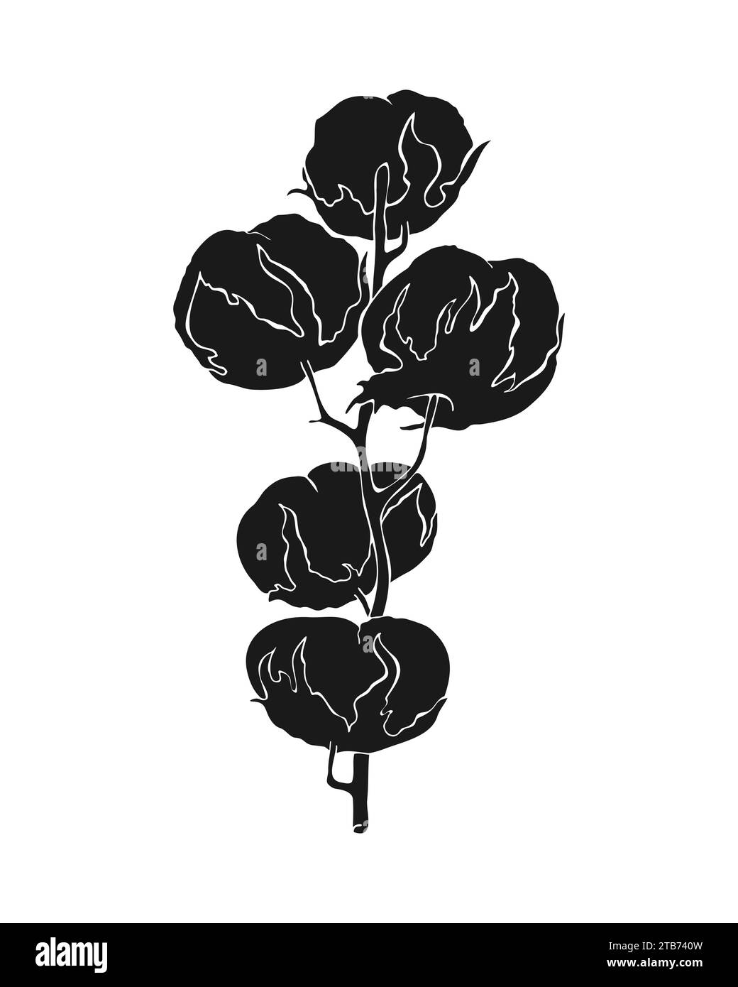 Baumwoll-Zweig mit Baumwollballen, handgezeichnete schwarze Silhouette der Pflanzenblume. Isolierter, weißer Hintergrund. Vektorabbildung Stock Vektor