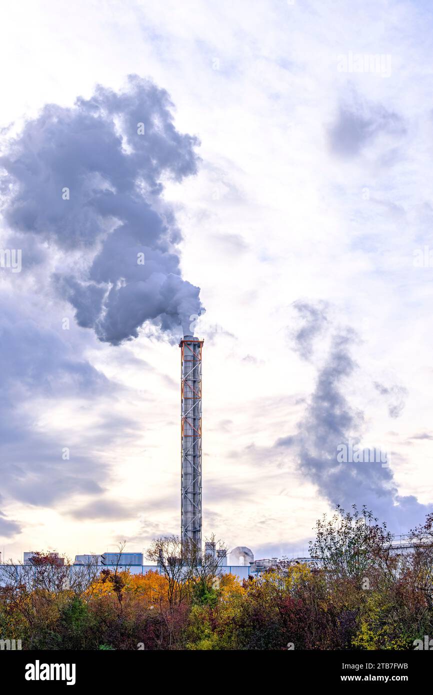 Emissionen aus einem Schornstein einer Industrieanlage, Papierfabrik Sappi Ehingen GmbH, Ehingen an der Donau, Baden-Württemberg, Deutschland, 30. Oktober 2023. Stockfoto