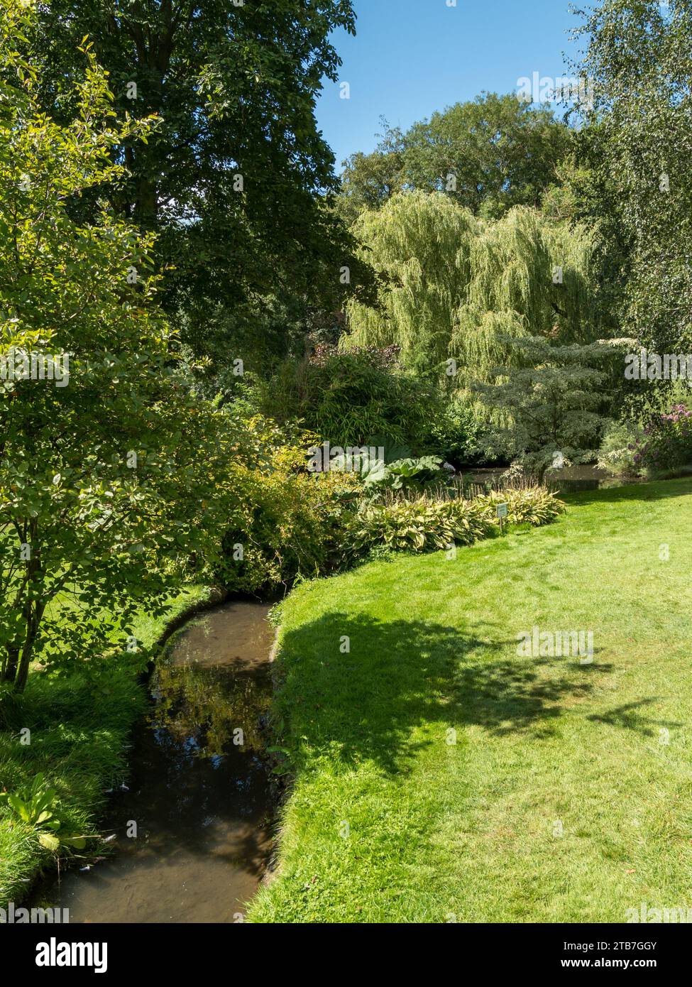 Hübsche Landschaftsgärten mit Bach, Rasen und Bäumen in Coton Manor Gardens, Northamptonshire, England, Großbritannien Stockfoto