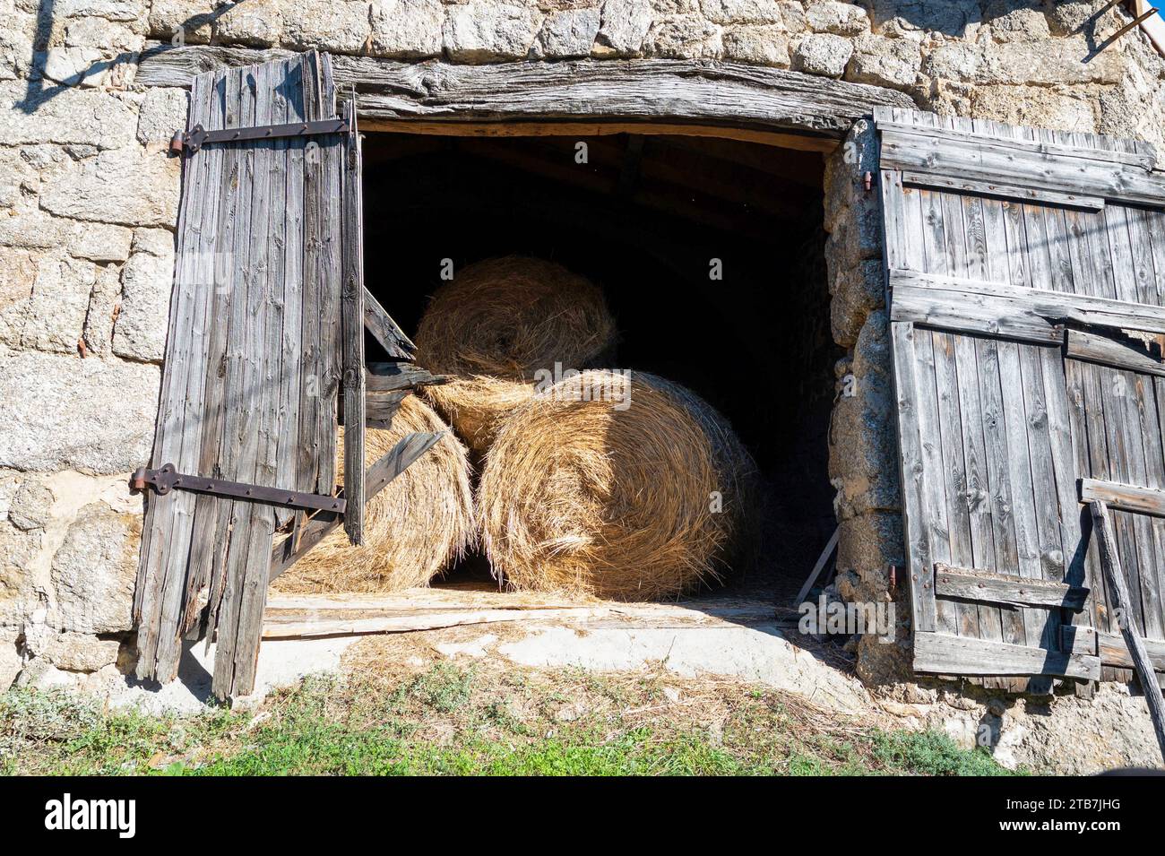 Strohballen in einer Scheune Stockfoto