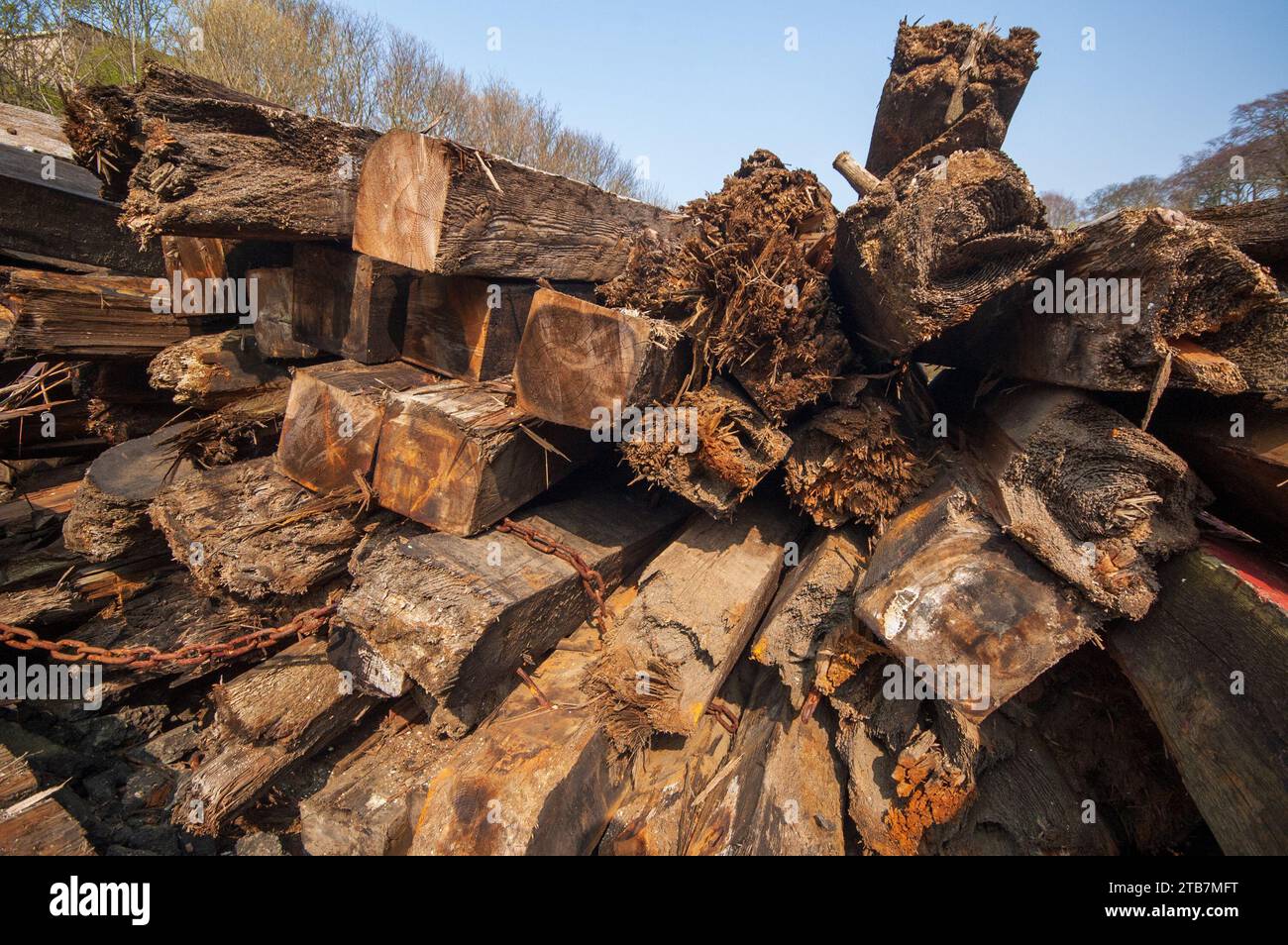 Alte verwitterte Holzstudien Stockfoto