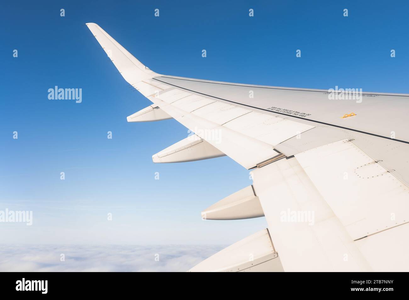 Ernteflügel eines Flugzeugs, das bei sonnigem Wetter über weiße Wolken gegen blauen Himmel fliegt Stockfoto