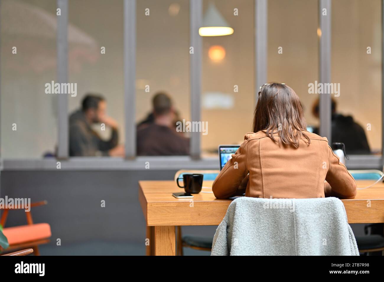 Lyon (Mittelostfrankreich): Abonnenten von Ballad.Club arbeiten im Rahmen des Ballad-Konzepts, einem neuen Modell des Coworking Space. Junge Frau gesehen von b Stockfoto