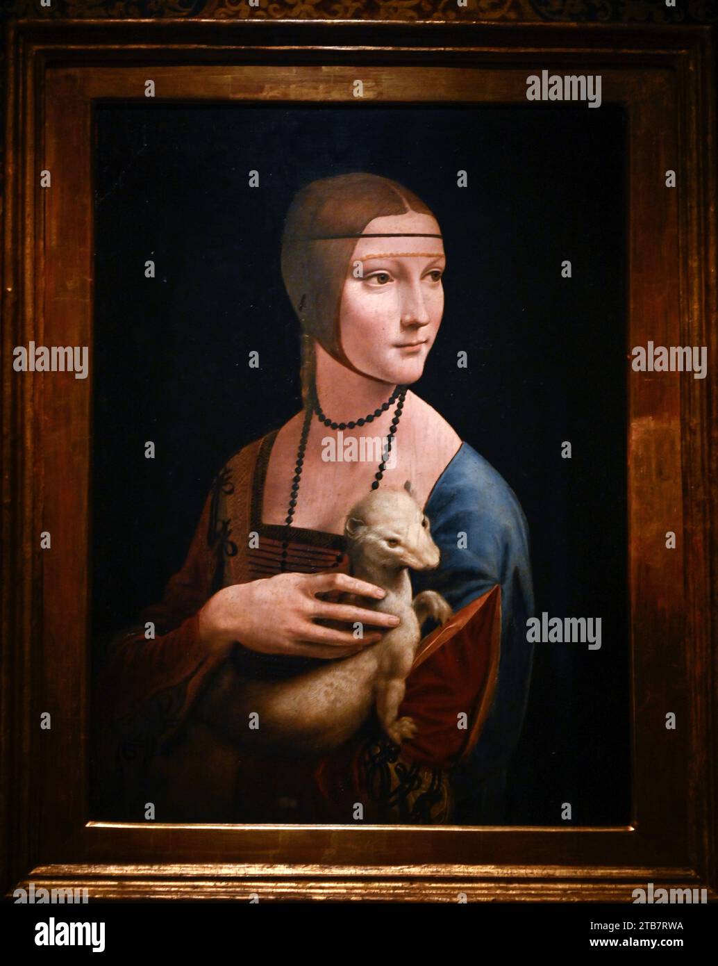 Polen, Krakau (Krakau): Das Prinzen-Czartoryski-Museum beherbergt einen wahren Schatz, eines von Leonardo da Vincis seltenen Gemälden, die Dame mit einem Hermelin. Stockfoto