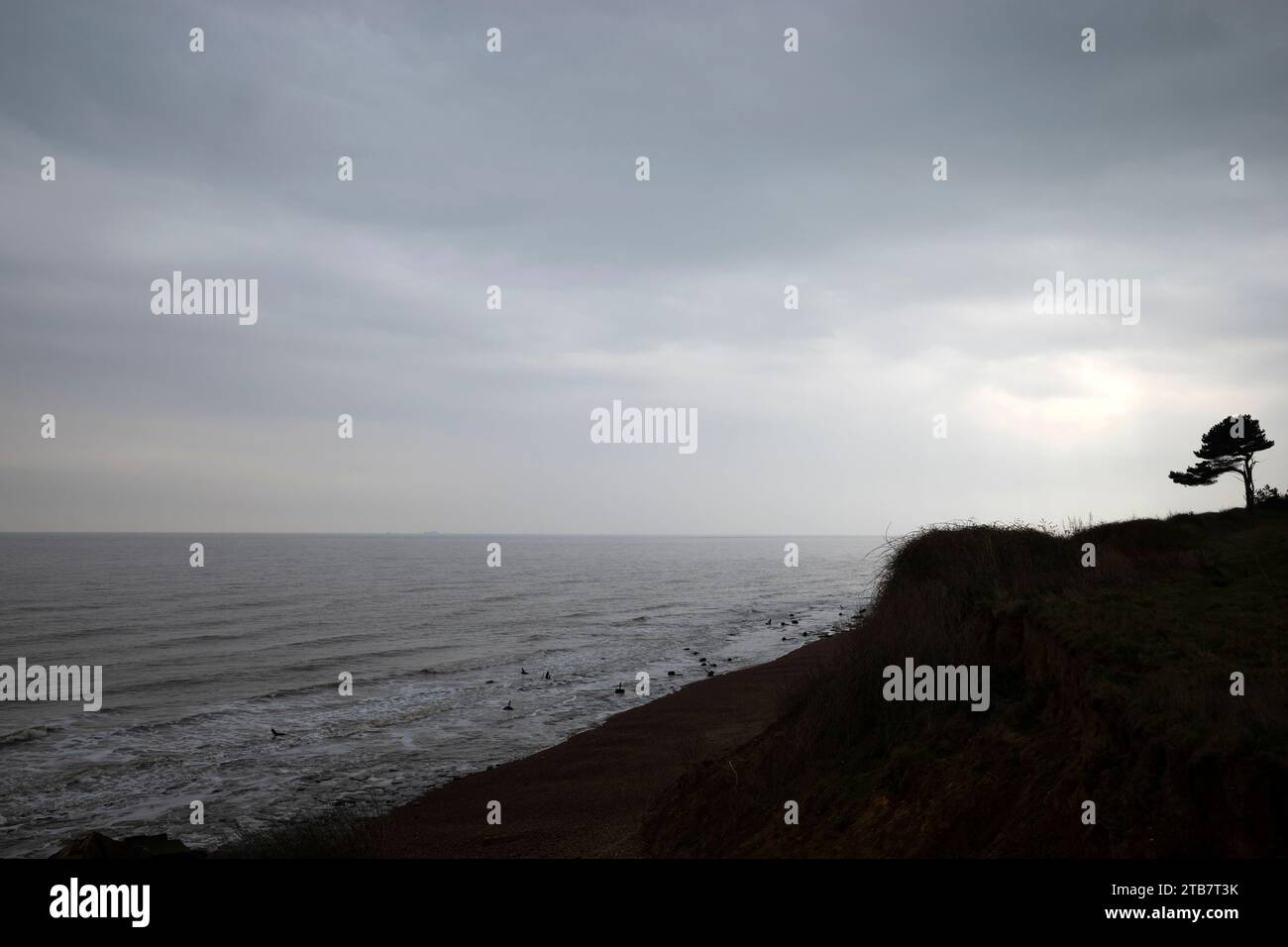 Bawdsey Suffolk UK Stockfoto