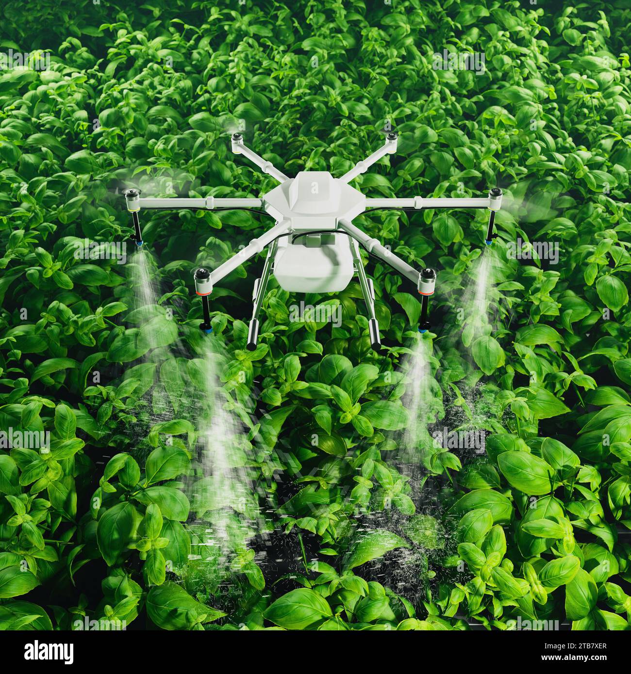 Eine High-Tech-Drohne fliegt über üppiges Erntegut und gibt Pestizide oder Nährstoffe ab, was die moderne Präzisionslandwirtschaft für ein verbessertes Erntemanagement und veranschaulicht Stockfoto