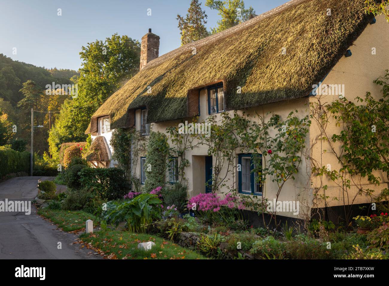 Idyllisches strohgedecktes Ferienhaus im Dorf Dunster, Exmoor National Park, Somerset, England. Herbst (Oktober) 2022. Stockfoto