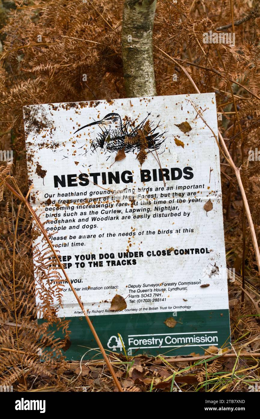 Schild Warnung vor der Gefahr für nistende Vögel im Bereich Leaning Against A Tree im Herbst, New Forest UK. Konzeptschutz, Wildtiere Retten Stockfoto