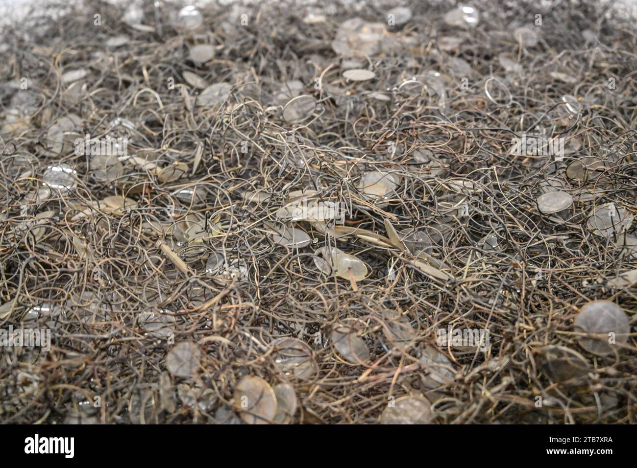 Polen: Auf dem Territorium der Städte Oswiecim und Brzezinka (Birkenau), dem Konzentrationslager Auschwitz-Birkenau Stockfoto