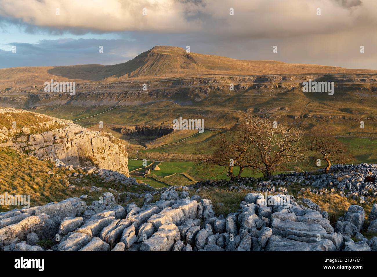 Abendlicht auf dem Ingleborough Mountain von den Kalksteinvorsprüngen des Twisleton Scar End, Yorkshire Dales National Park, Yorkshire, England. Herbst (Nein Stockfoto