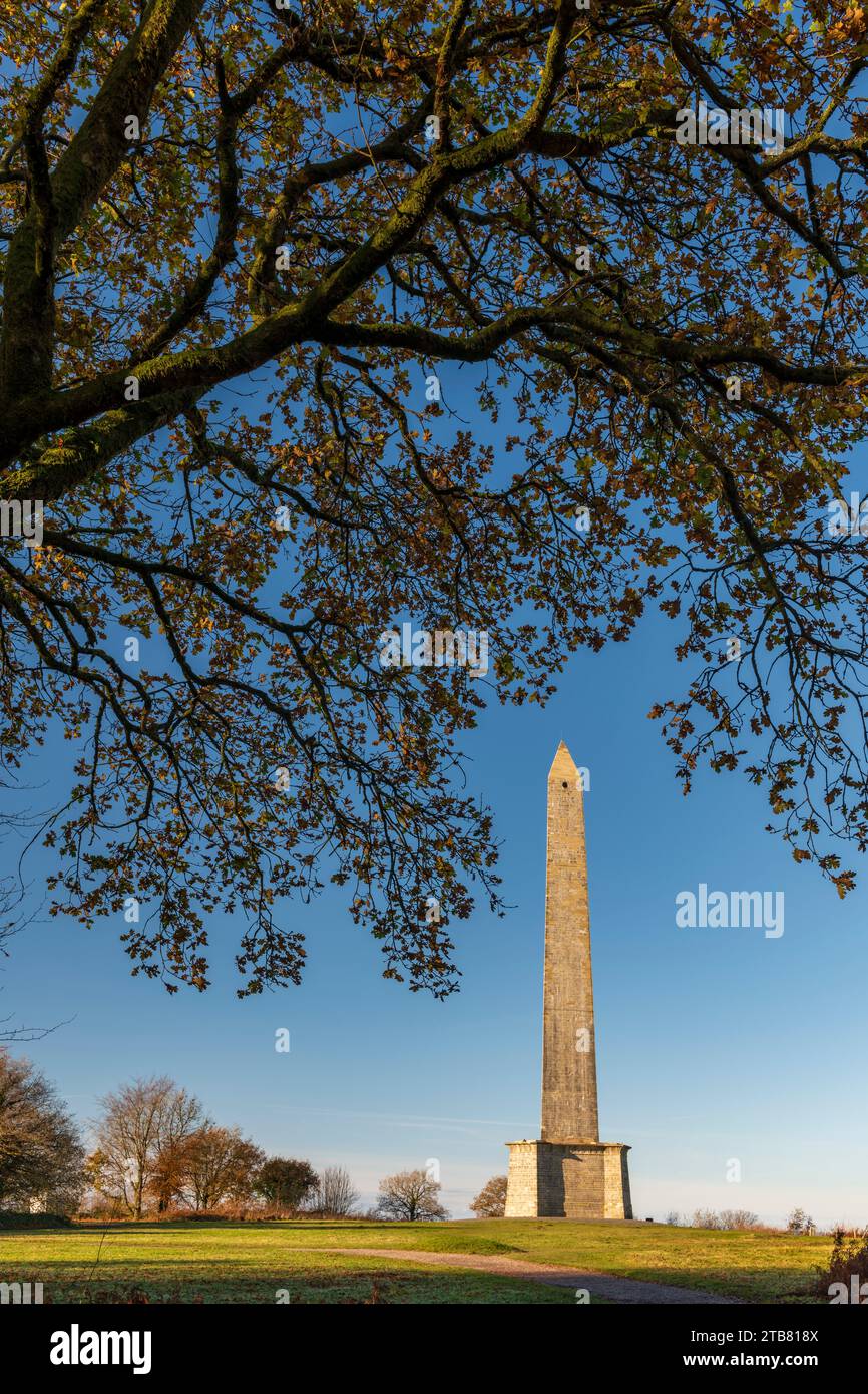 Das Wellington Monument mit 53 m ist der höchste dreiseitige Obelisk der Welt Stockfoto