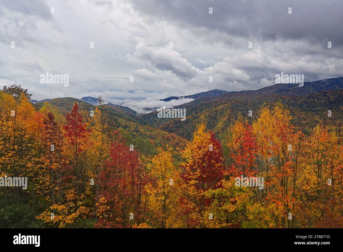 Sturmwolken über den Bergen, die im Great Smoky Mountains National Park in Herbstfarben bedeckt sind Stockfoto