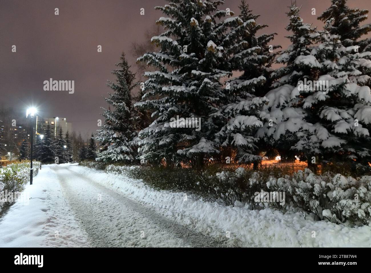 Fragment des Fichtenparks der Winterstadt in Moskau, Russland Stockfoto