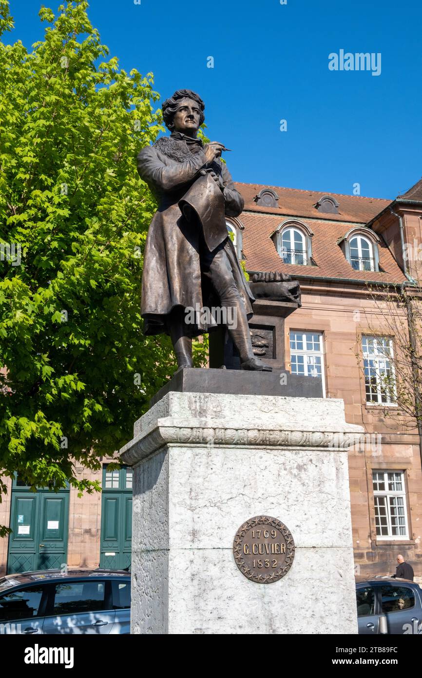 Montbeliard (Nordostfrankreich): Statue von Georges Cuvier, Gedenkstatue für den Naturforscher Georges Cuvier Stockfoto