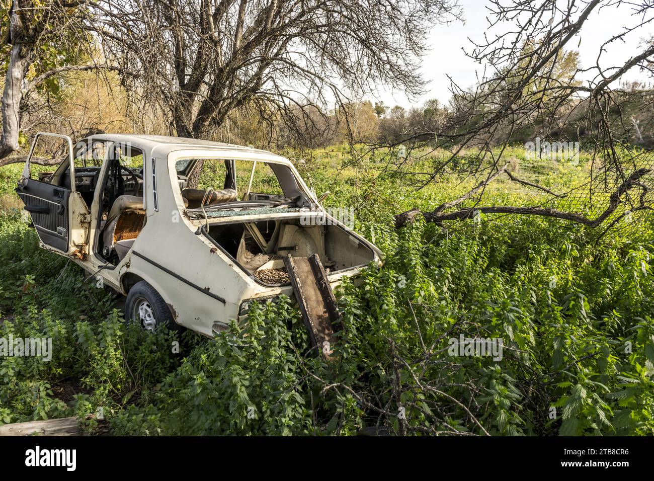 Überreste eines Autos aus den 70er Jahren verschlungen Stockfoto