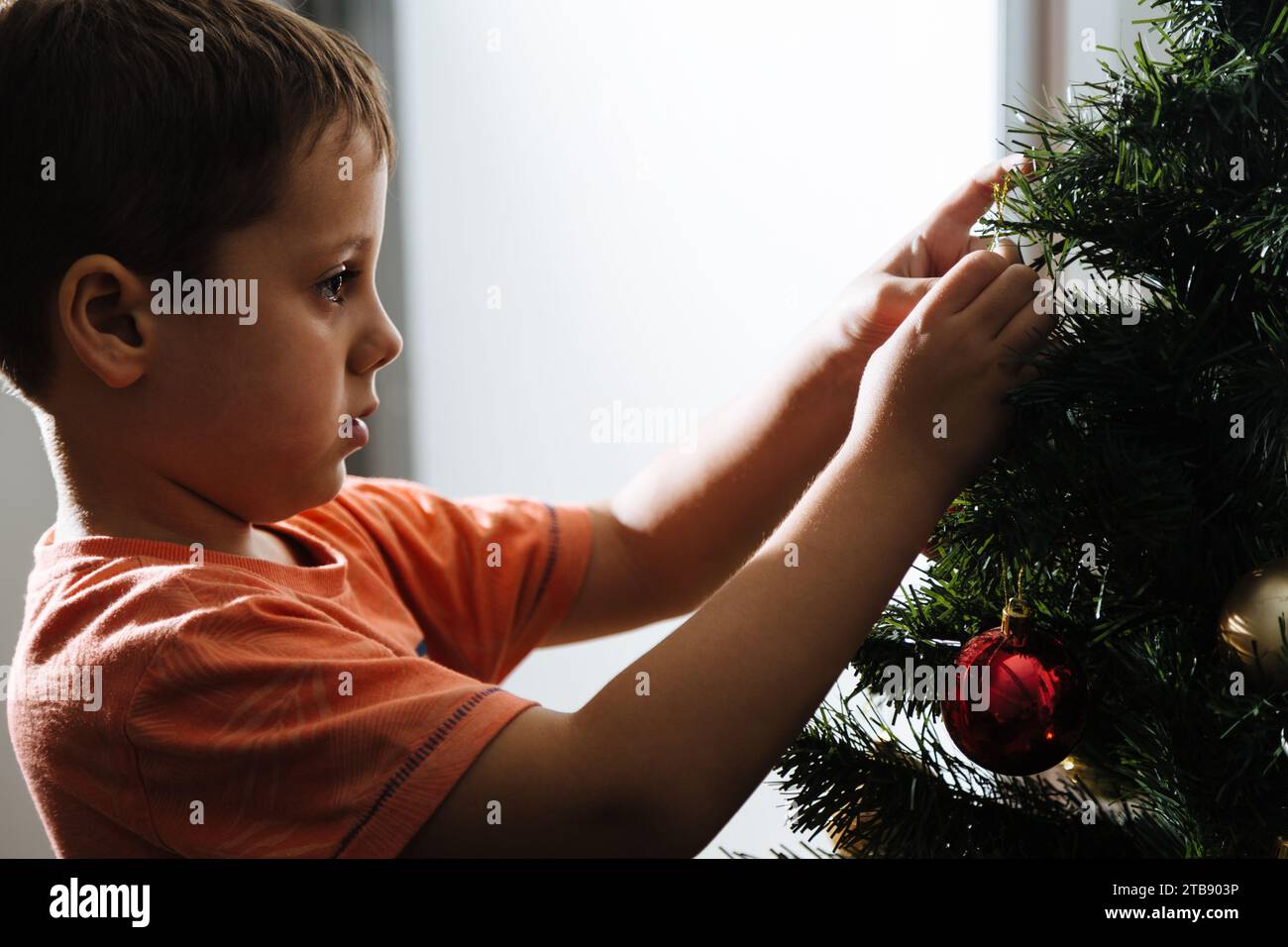 Der Junge, der den weihnachtsbaum in seinem Haus vor der Weihnachtsfeier zusammenstellt. Stockfoto