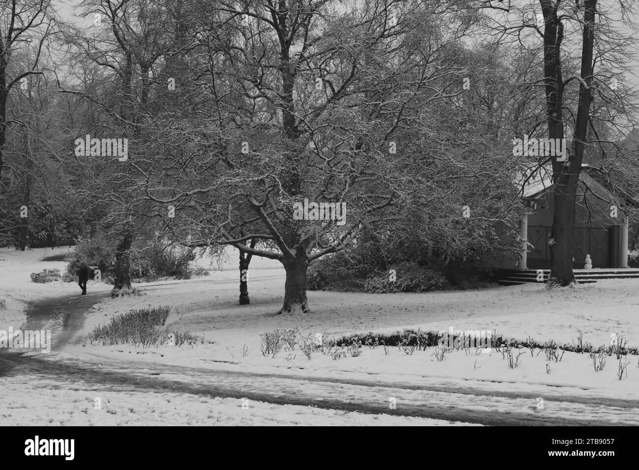 Blick auf den Wintry Park, mit einem schneebedeckten Baum und einem gewundenen Pfad. Ein entfernter Mensch bringt Leben in die heitere Winterszene, Harrogate, Großbritannien. Stockfoto