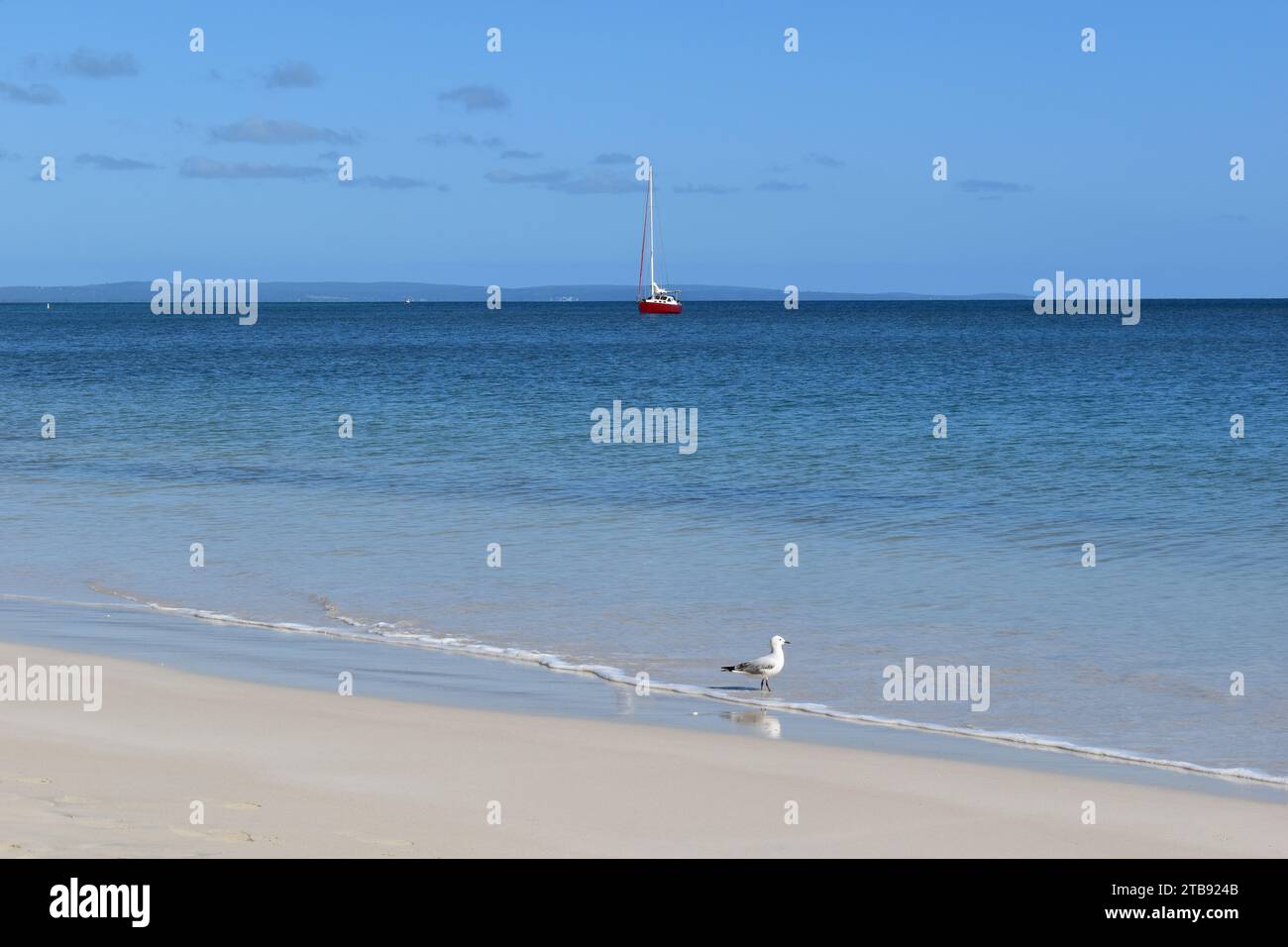 Idyllische, ruhige Strandszene mit Möwe auf dem Sand und roter Yacht im Hintergrund, Busselton, Western Australia, Australien Stockfoto