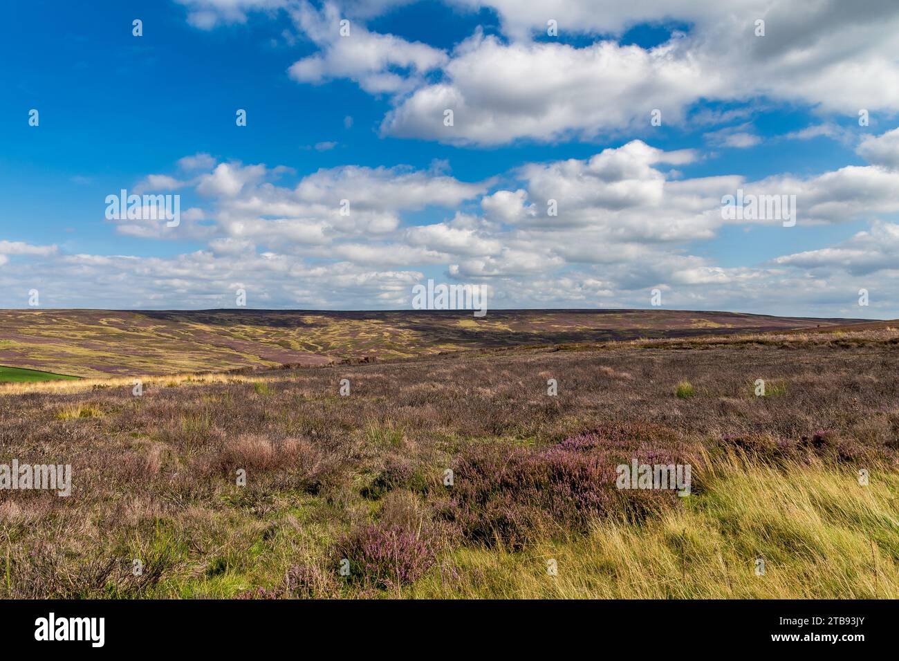 Landschaft der North York Moors in der Nähe von Percy Cross, North Yorkshire, England, Großbritannien Stockfoto