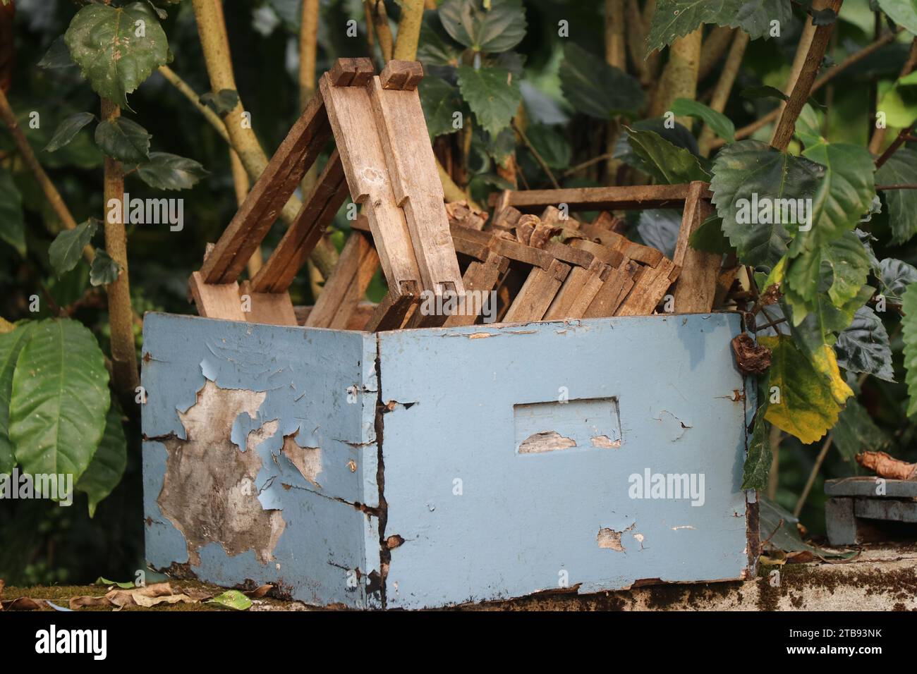 Verlassener Standard-Bienenstock aus Holz, das lange Zeit ungenutzt bleibt. Bienenkasten verlassen Stockfoto