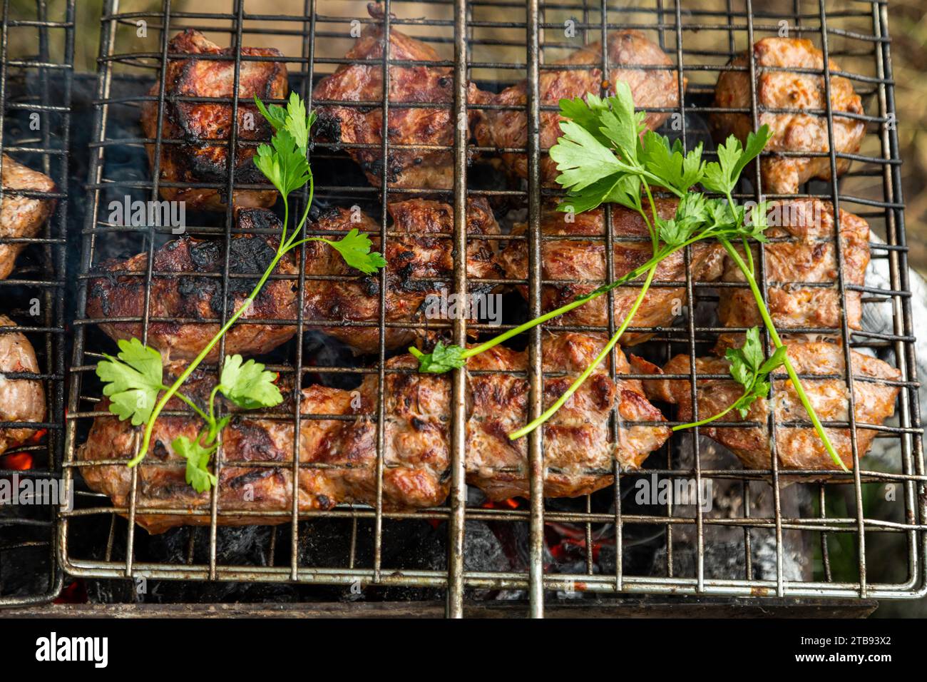 Grillen Sie das Rost mit Rinderfleisch auf einem Brazier mit brennender Holzkohle. Grillparty im Freien Stockfoto