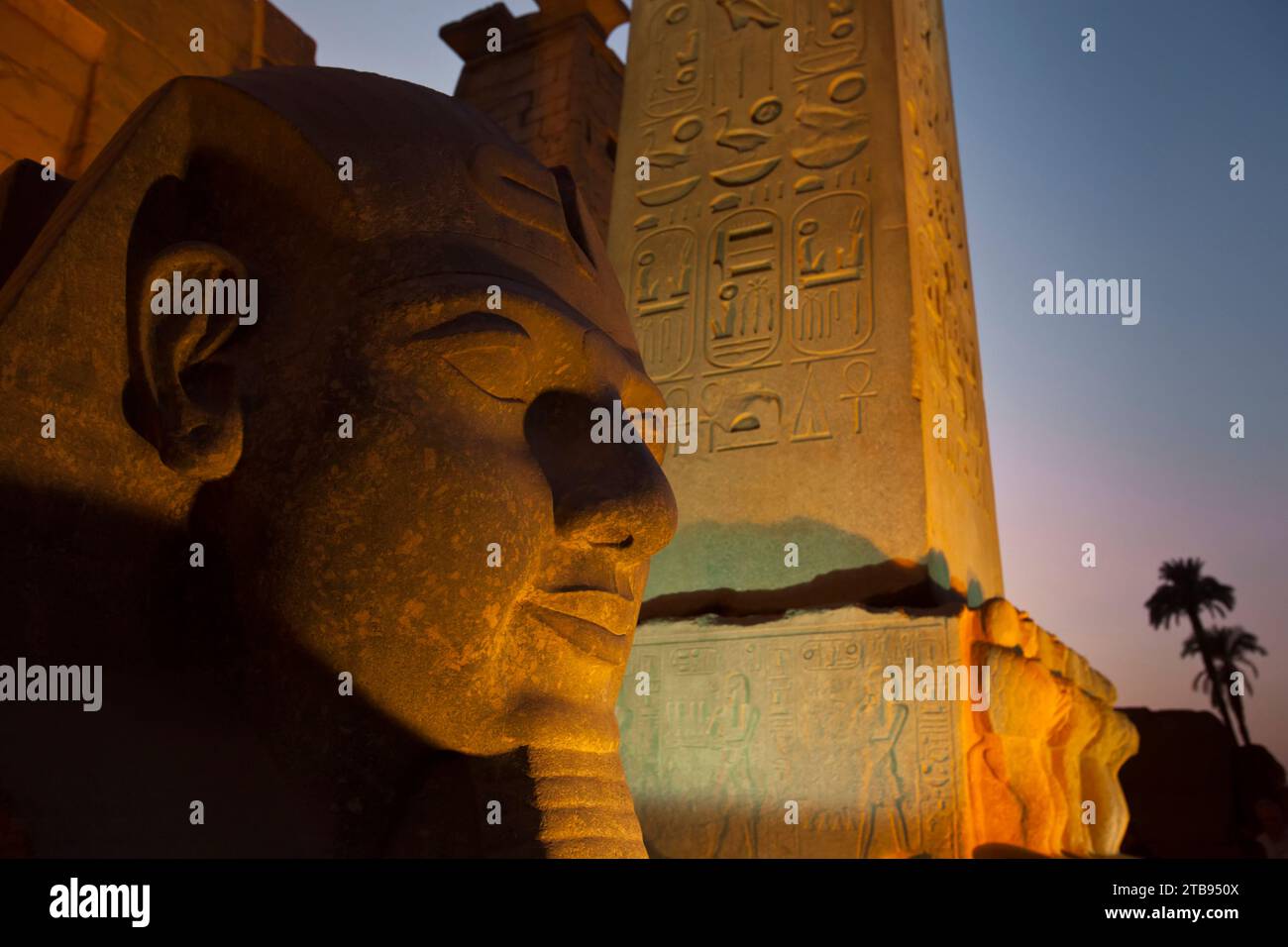 Leiter von Ramses II am Eingang zum Tempel von Luxor; Luxor, Ägypten Stockfoto