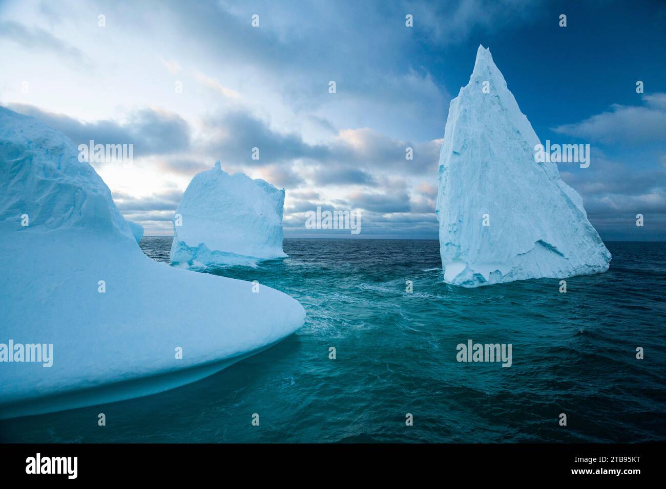 Eisberge in der Gerlache-Straße; Antarktis Stockfoto