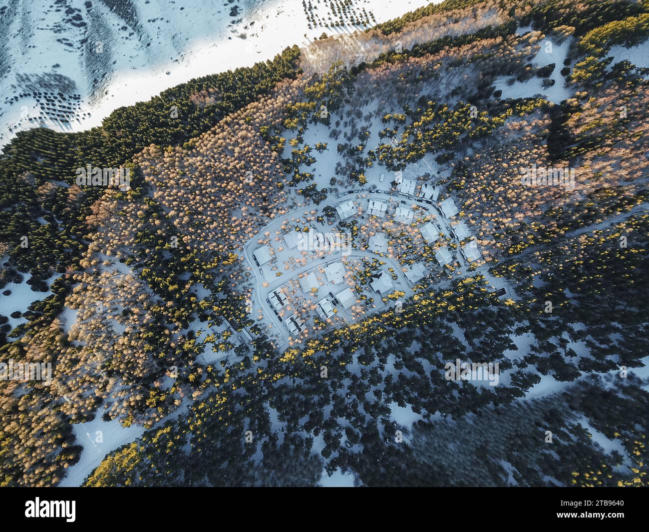 Aus der Vogelperspektive auf die verschneiten Berge mit Tannen Stockfoto