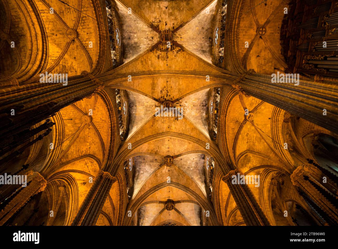 Blick auf die Säulen und die gewölbte Decke der Kathedrale von Barcelona; Barcelona, Spanien Stockfoto