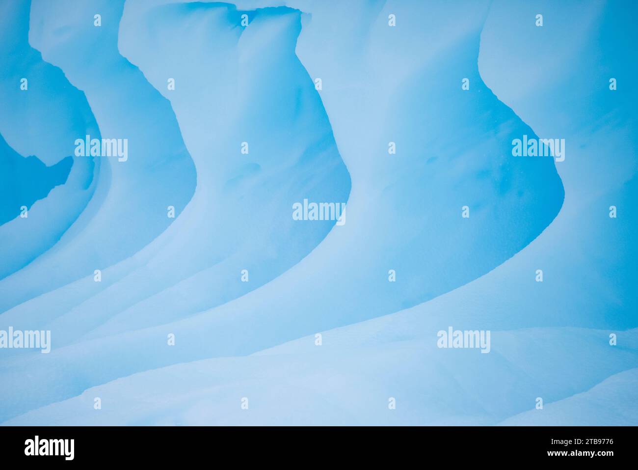 Eisberg auf der Westseite der Antarktischen Halbinsel; Antarktis Stockfoto
