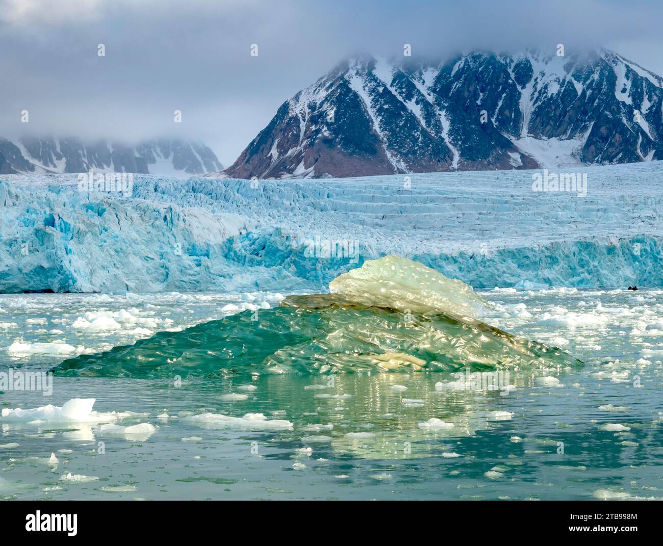 Eis vom Boden eines Eisbergs an der Wasseroberfläche; Spitzbergen, Svalbard, Norwegen Stockfoto