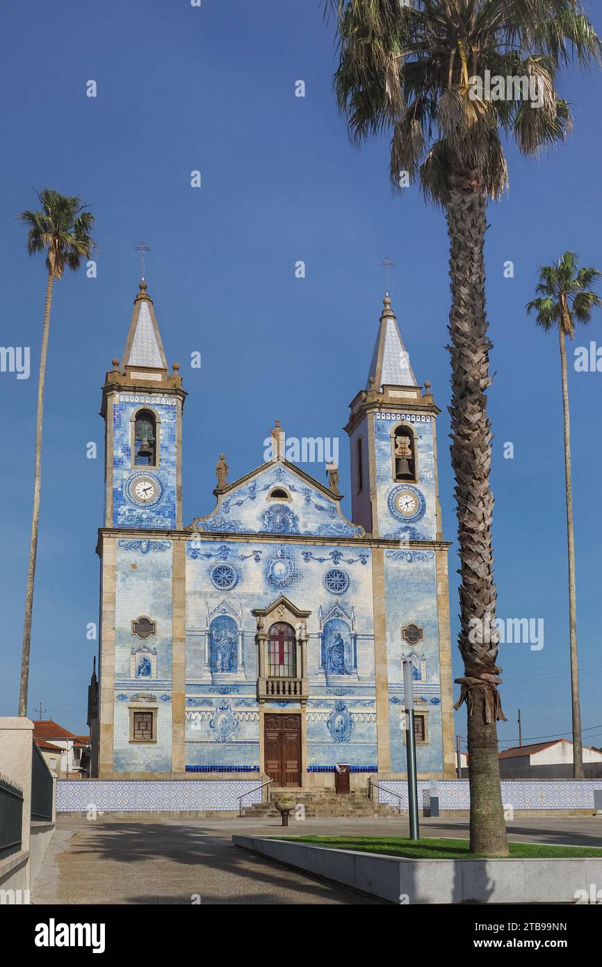 Palmenplatz und Kirche „Igreja de Santa Marinha de Cortegaca“. Die wunderschöne Fassade ist mit weißen blauen Azulejo-Fliesen bedeckt. Portugiesisches Erbe. Stockfoto