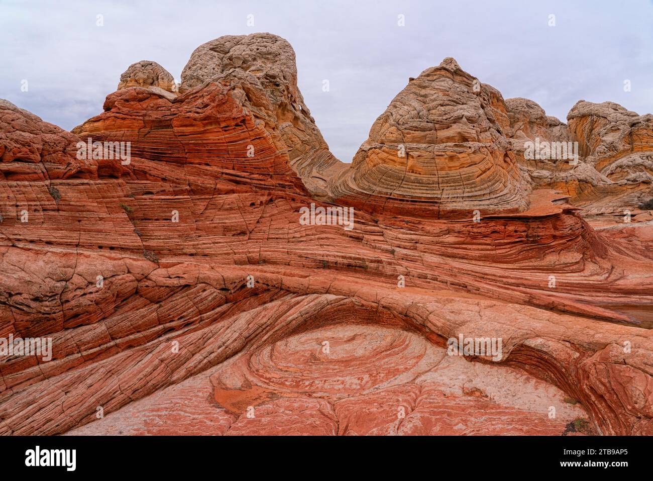 Blick auf den erodierten Navajo-Sandstein, der rote Felsformationen mit gerippten, wirbelnden Mustern schafft, die außerirdische Landschaften mit erstaunlichen Linien bilden... Stockfoto