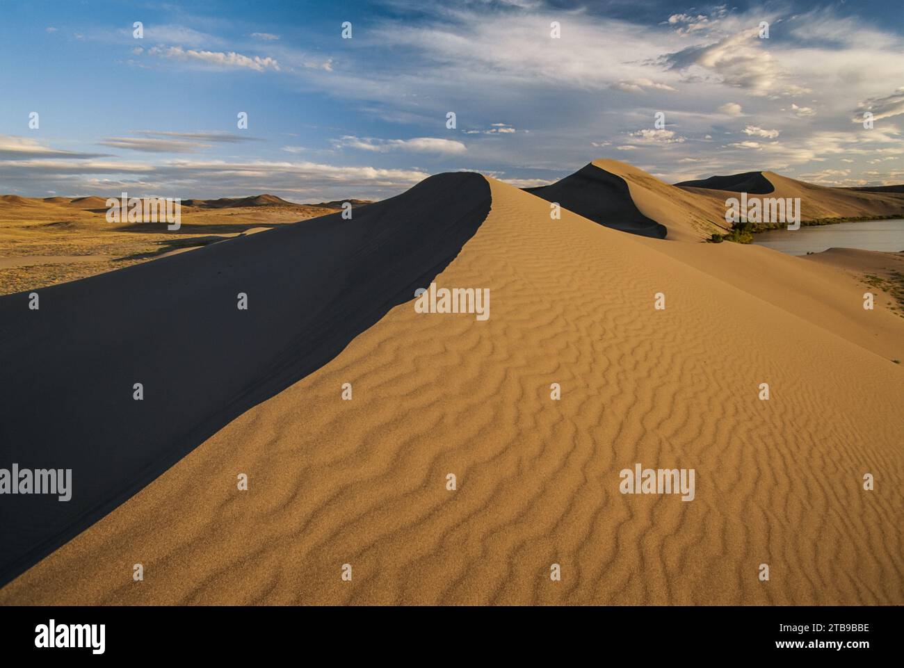 Windgewellte Sanddünen in Idaho; Idaho, Vereinigte Staaten von Amerika Stockfoto